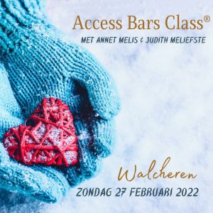Access bars class zeeland