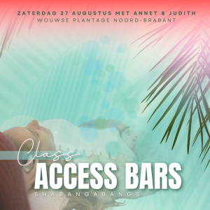 Access bars class Brabant