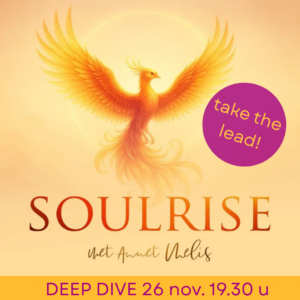 SoulRise <november 2026> Deep Dive
